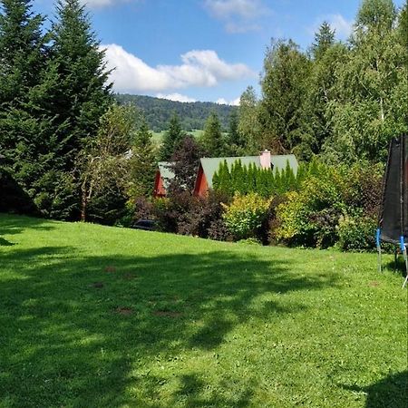 Domki Pod Kiczera W Baligrodzie, Bieszczady ภายนอก รูปภาพ